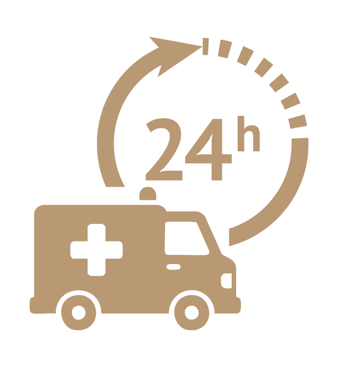 Emergência 24h